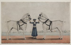 Ein Syce (Pferdeknecht) hält zwei Kutschpferde, ca. 1845