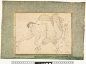 Kamel und Führer, ca. 1545-76 von Shaykh Muhammad