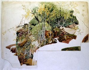 Laub und Felsen von Sheldon Burrows Adams
