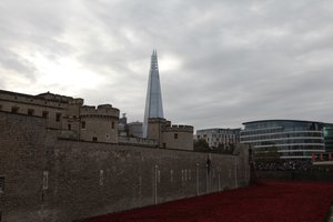 Blood Swept Lands and Seas of Red, Tower of London, 2014