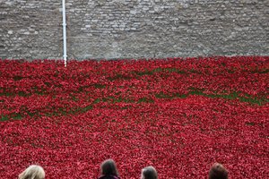 Blood Swept Lands and Seas of Red, Tower of London, 2014