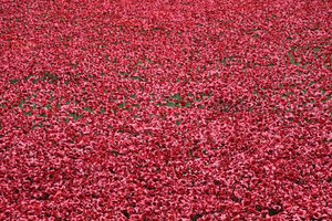 Blutüberströmte Länder und Meere aus Rot, Tower of London