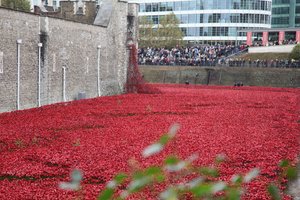 Blutüberströmte Länder und Meere aus Rot, Tower of London, 2014