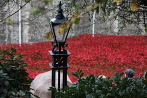 Blutüberströmte Länder und Meere aus Rot, Tower of London, 2014