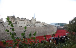 Blutüberströmte Länder und Meere aus Rot, Tower of London, 2014