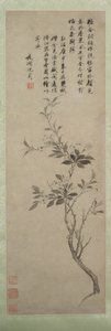 Blühender Zierapfel, 1500 von Shen Zhou