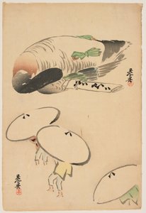 (Fasan/Drei Männer mit Regenschirmen) von Shibata Zeshin