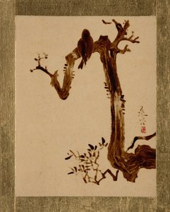 Krähe auf Baum von Shibata Zeshin