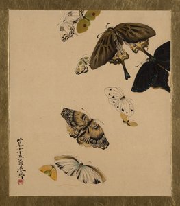 Lackmalereien zu verschiedenen Themen: Schmetterlinge, datiert 1881 von Shibata Zeshin