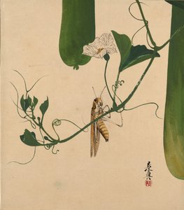 Lackmalereien zu verschiedenen Themen: Heuschrecke auf Kürbisranke, 1882 von Shibata Zeshin