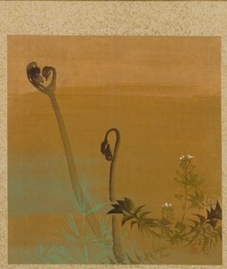 Neue Farne aus dem Album der Gemälde des Ehrwürdigen Zeshin von Shibata Zeshin