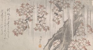 Kirschblüten im Regen, 19. Jahrhundert von Shinsai