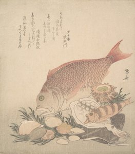 Große und kleine Fische schwimmen zwischen Muscheln und Moos am Meeresboden, ca. 1830