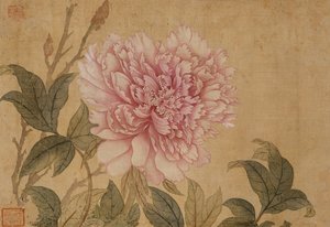 Pfingstrose, Blatt aus einem Album mit Blumenmalereien