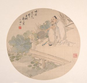 Lotus bewundern