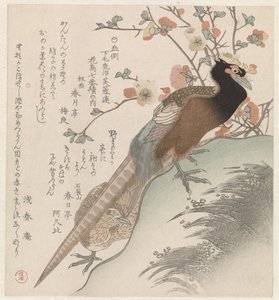 Fasane vor einem Blütenzweig (Sieben Bilder von Vögeln und Blumen für die Fuyôren-Dichtervereinigung von Kanuma aus der Provinz Shimotsuke) von Shunman