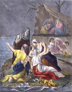 Die Sintflut, aus einer Bibel gedruckt von Edward Gover