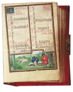 Folio aus einem Miniatur-Stundenbuch, Gebrauch von Rom, Brügge