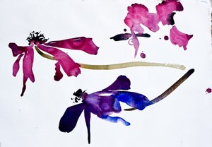 Anemonen