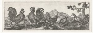 Geflügel von Simon Frisius