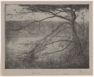 Teich bei Oisterwijk