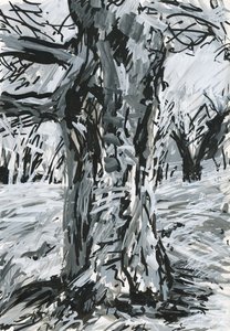 Alter Baum, Richmond Park