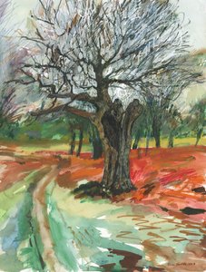Alter Baum, Richmond Park, 2019