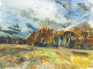 Richmond Park, 2018 von Simon Neville