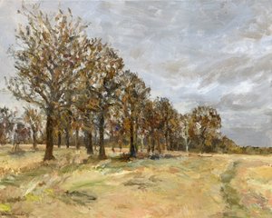 Wald, Richmond Park Nr. 6, 2022