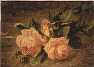 Rosa Rosen