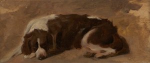 Ein liegender Spaniel