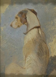 Studie eines Windhundes von Sir Edwin Henry Landseer
