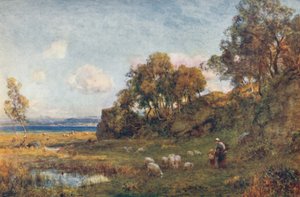 Geschützte Weiden, um 1900