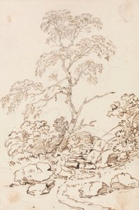 Baum bei Stufen von Sir George Howland Beaumont seventh Baronet