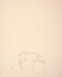 Traum eines Bronchos #1 von Solon H. Borglum