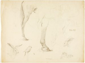 Pferdestudie und Kaninchen von Solon H. Borglum