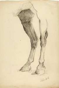Pferdebein von Solon H. Borglum