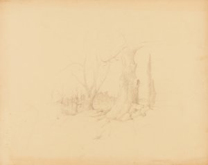 Landschaft