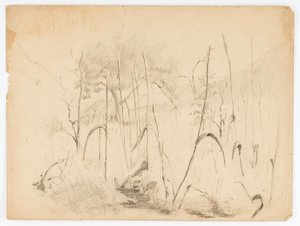 Landschaft von Solon H. Borglum