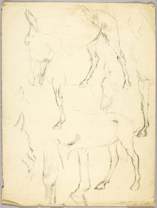 Porträtstudie, Pferdestudie von Solon H. Borglum
