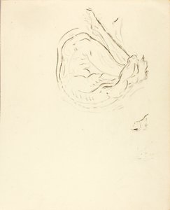 Schwimmer von Solon H. Borglum