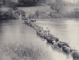 Wie Flüsse im Transvaal überquert werden von South African Photographer