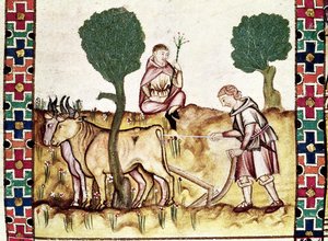 Fol.237r Ein Bauer lehrt seinen Sohn, ein Feld zu pflügen