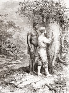 Jules Crevaux, während seiner Erkundung von Französisch-Guayana im Jahr 1878, schnitzt seine Initialen in einen Baum am Ufer des Oyapock- oder Oiapoque-Flusses von Spanish School