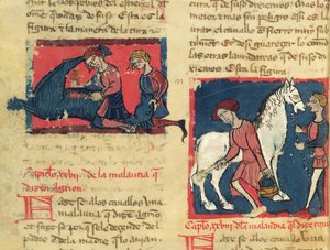 Ms 214 fol.38r Behandlung eines Pferdes mit Räude, aus Libro de Menescalcia y Albeyteria von Juan Alvarez, ca. 1390 von Spanish School