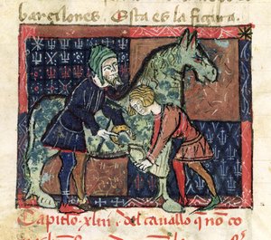 Ms 214 fol.46v Beschlagen eines Pferdes, aus Libro de Menescalcia y Albeyteria von Juan Alvarez, ca. 1390 von Spanish School