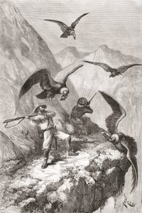 Édouard François André und Begleiter werden von Kondoren in der Nähe von Calacali, Provinz Pichincha, Ecuador, während seiner botanischen Expedition in den Ausläufern der Anden 1875-76 angegriffen