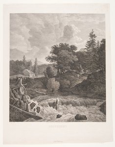 Das Waldhaus von Søren Henrik Petersen