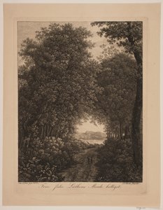 Waldweg