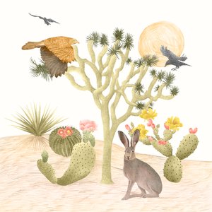 Mojave-Wüste von Stacy Hsu